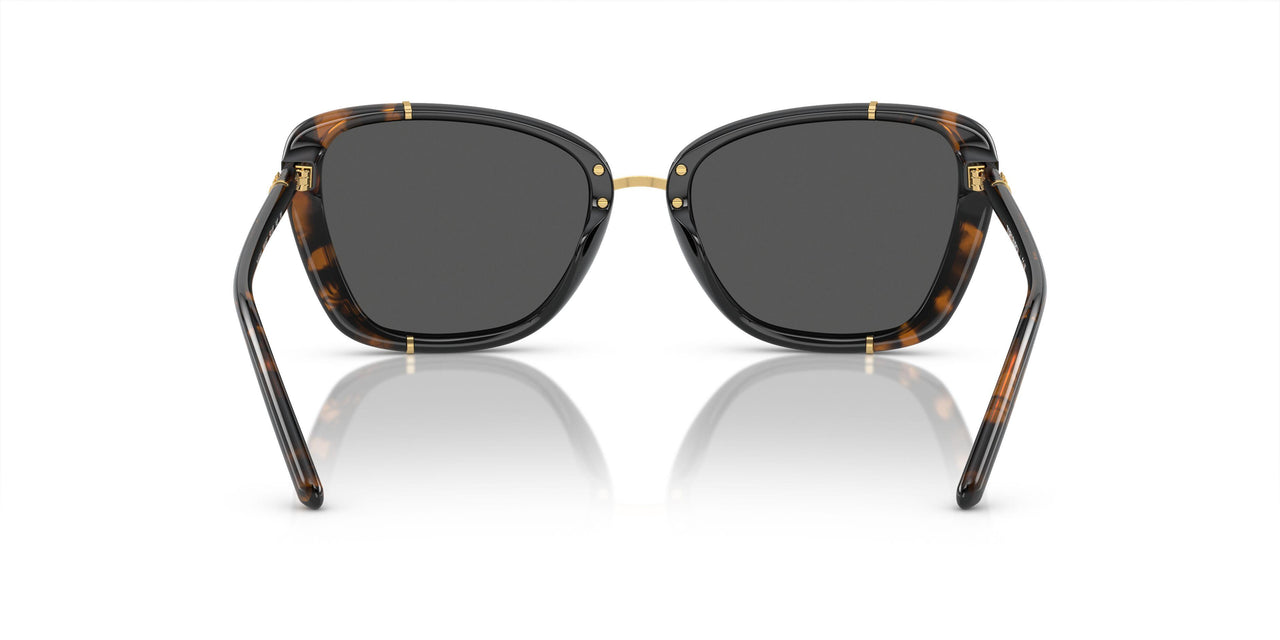 194087 - Tortoise - Dark Grey