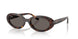 902/B1 - Tortoise - Dark Grey