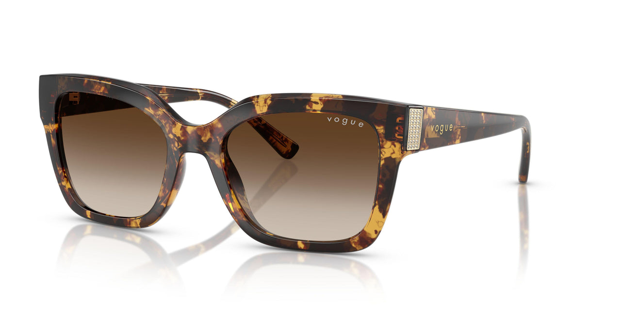317913 - Tortoise - Gradient Brown