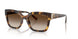 317913 - Tortoise - Gradient Brown