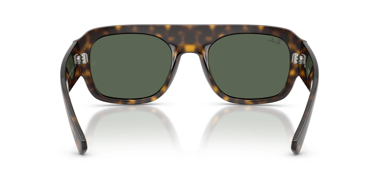 679071 - Tortoise - Green
