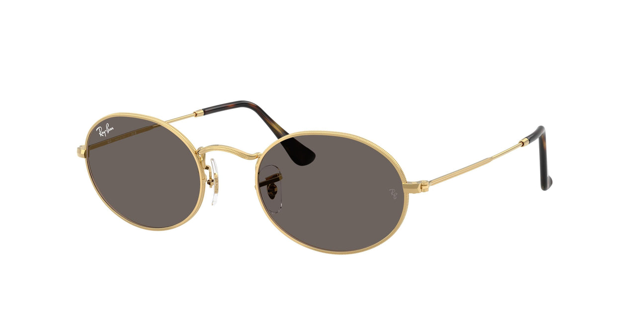 Ray-Ban Oval 3547N Sunglasses