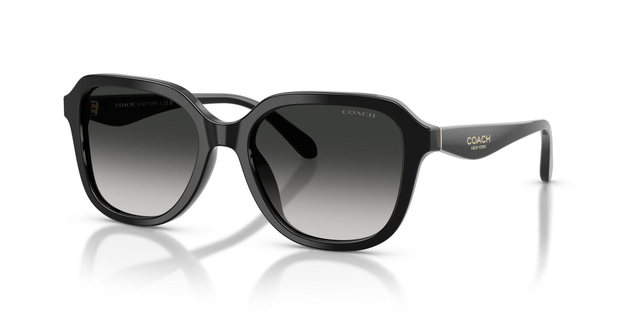 50023C - Black - Grey Gradient