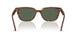 954/71 - Brown - Dark Green