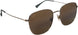 16A - Shiny Light Gold With Greyish-green - Hcl Bronze