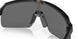 946305 - Black - Prizm Black