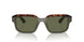 001/58 - Green - Polarized Green