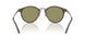 640353 - Tortoise - Green
