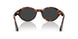 24/48 - Tortoise - Polar Dark Grey