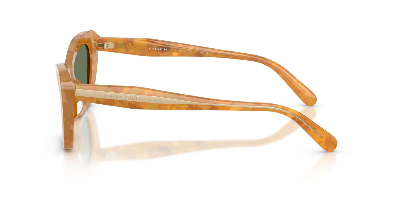 593982 - Tortoise - Green Solid