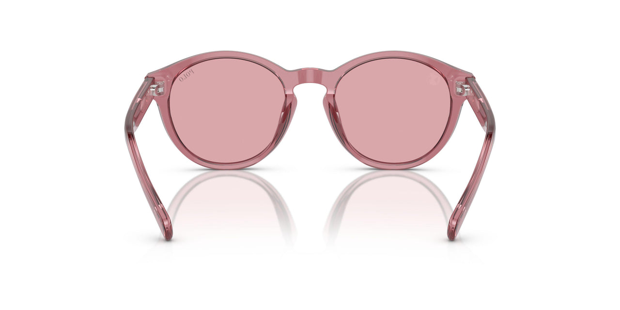 522084 - Pink - Rose