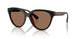 835773 - Brown - Dark Brown