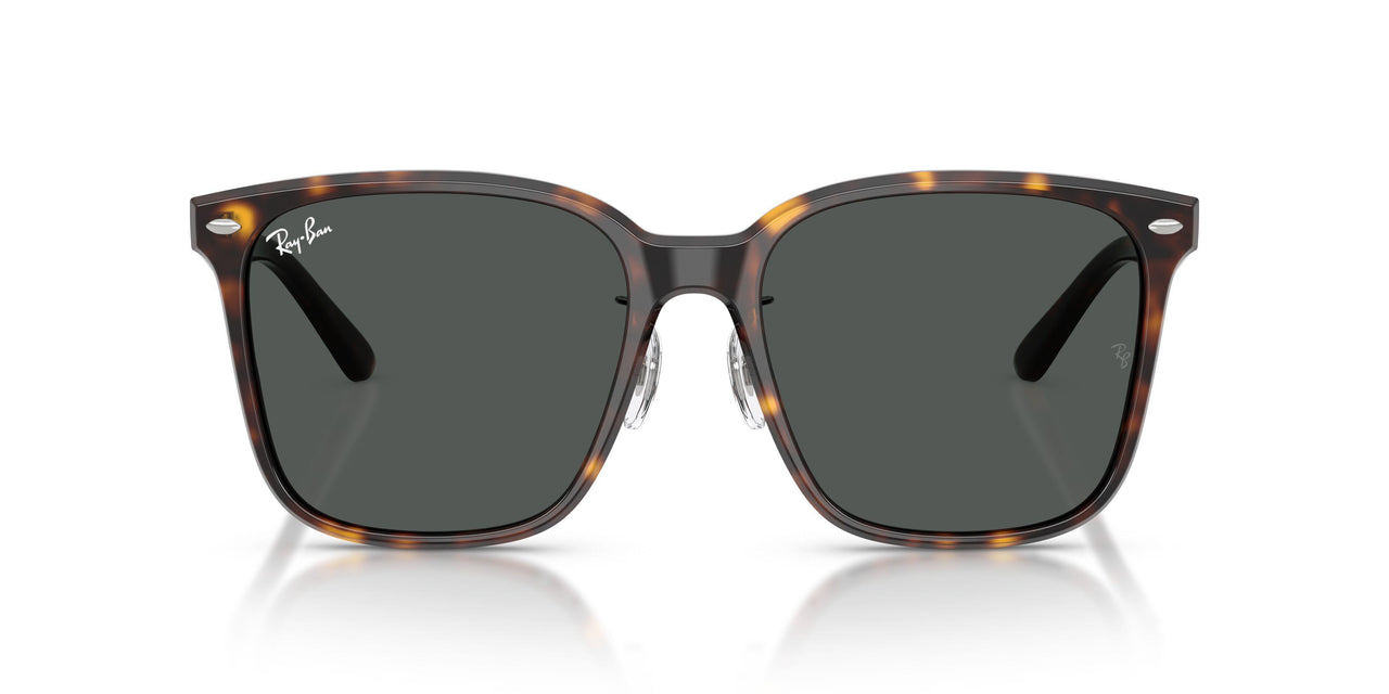 710/87 - Tortoise - Dark Grey