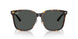 710/87 - Tortoise - Dark Grey