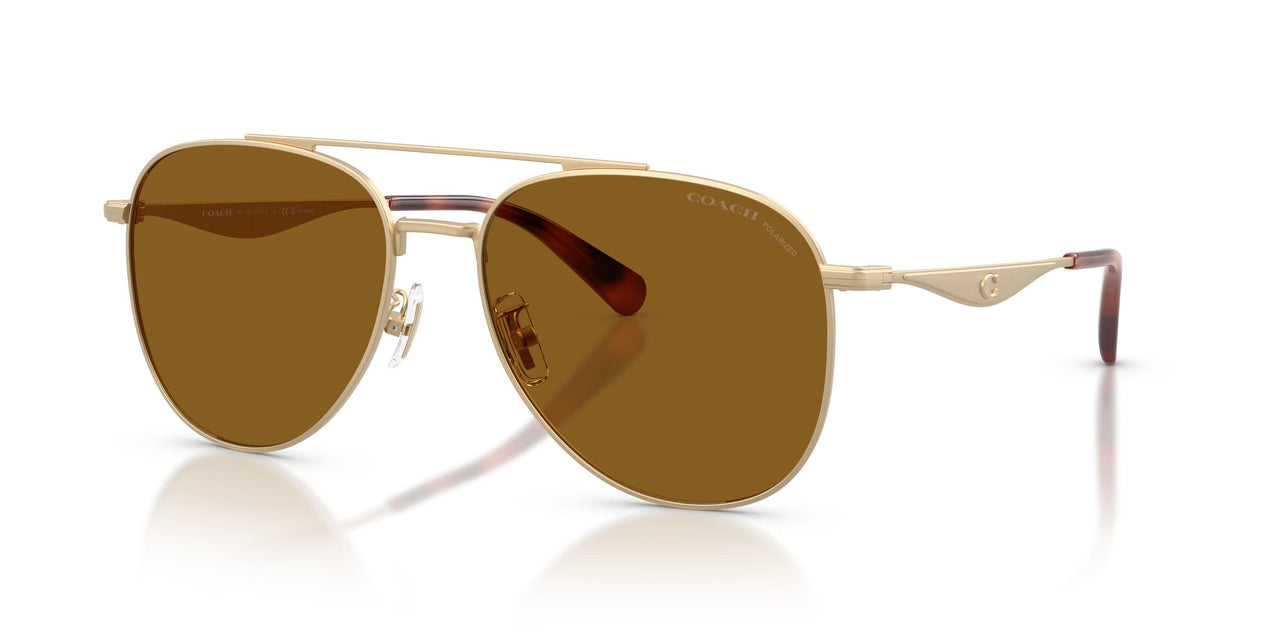 900583 - Gold - Brown Solid Polar