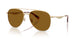 900583 - Gold - Brown Solid Polar