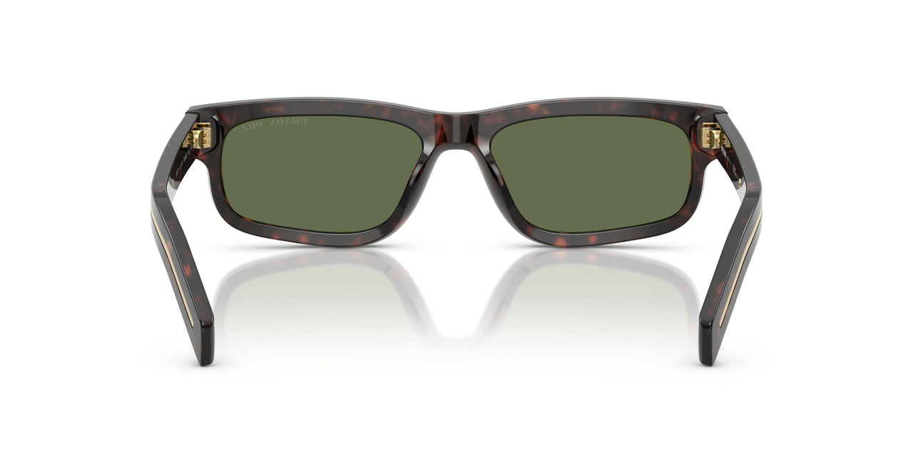 17N20G - Tortoise - Polar Green
