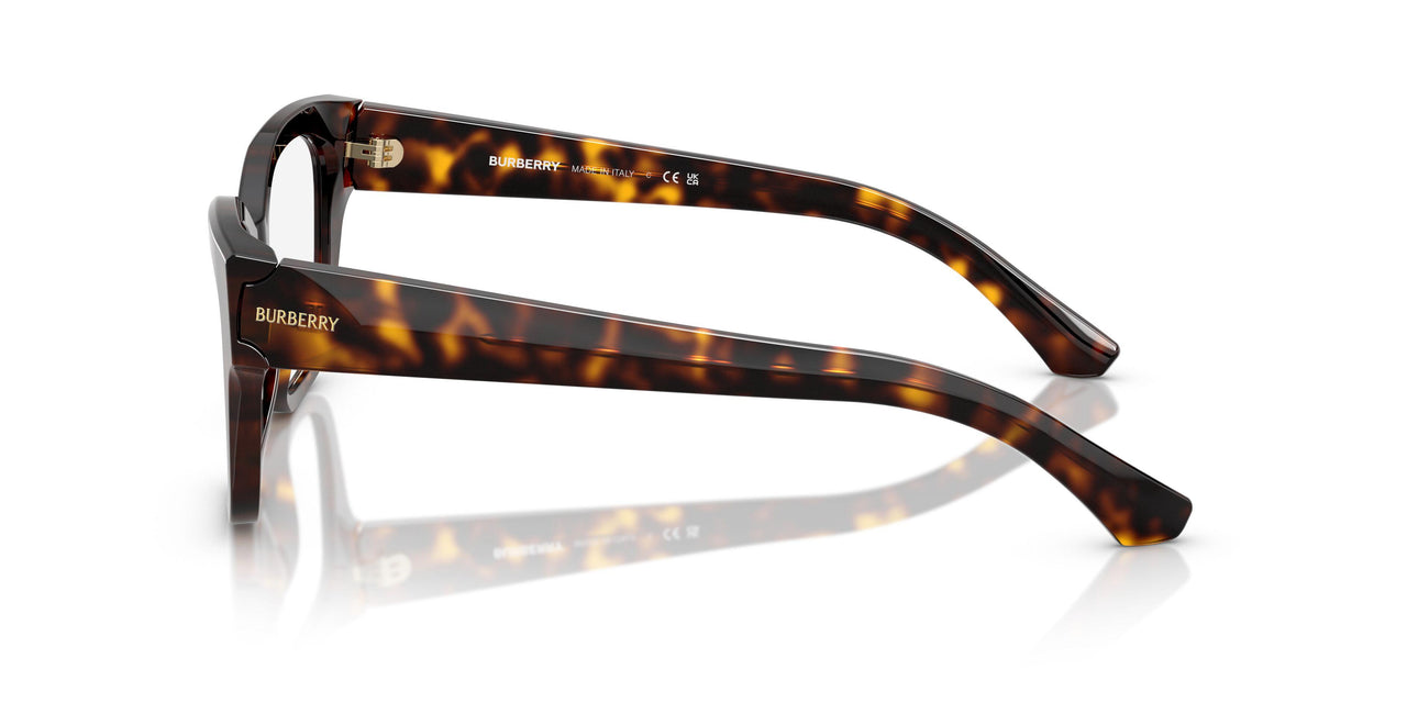 3002 - Brown