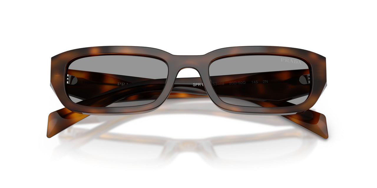 20D50Q - Havana - Grey