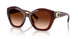 584174 - Brown - Brown Gradient