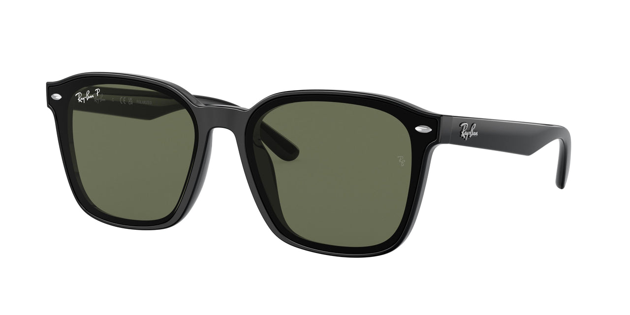 Ray-Ban 4392D Sunglasses
