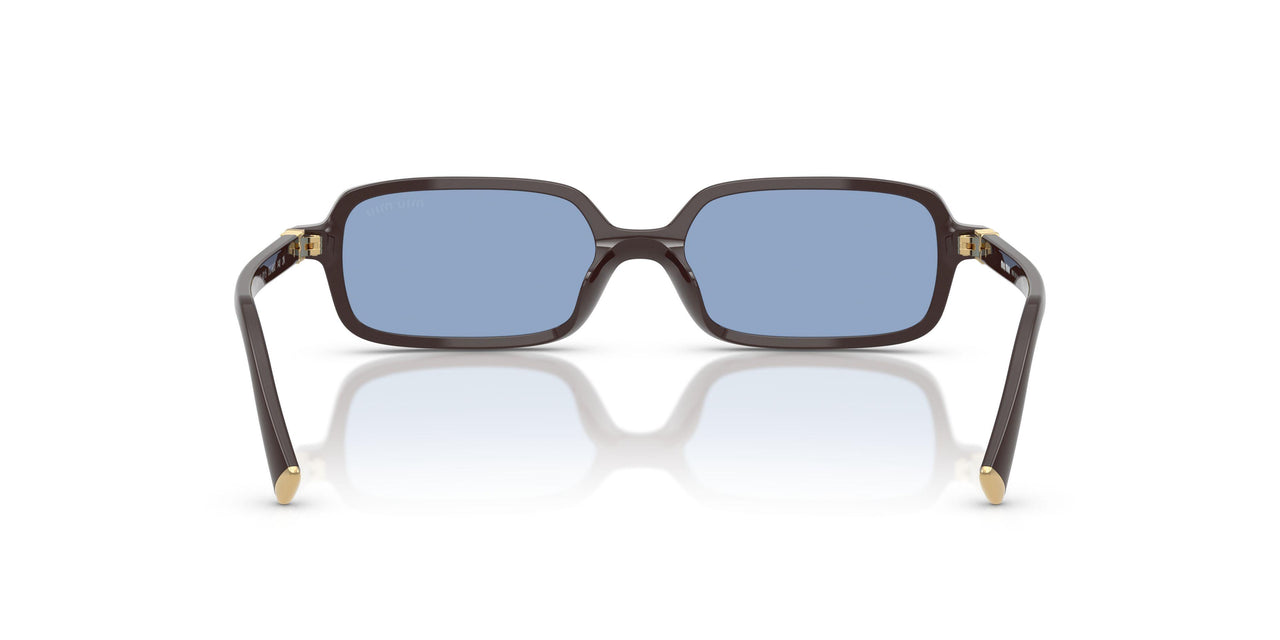 22C60O - Brown - Light Blue