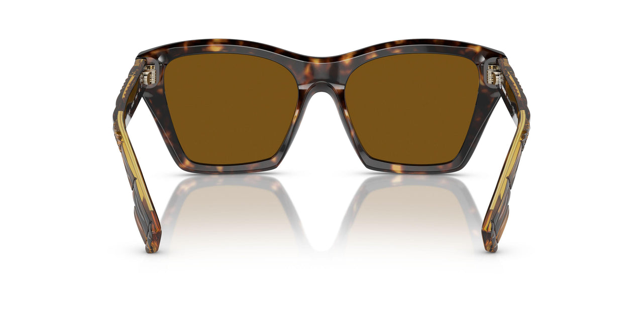 300283 - Brown - Brown Polarized