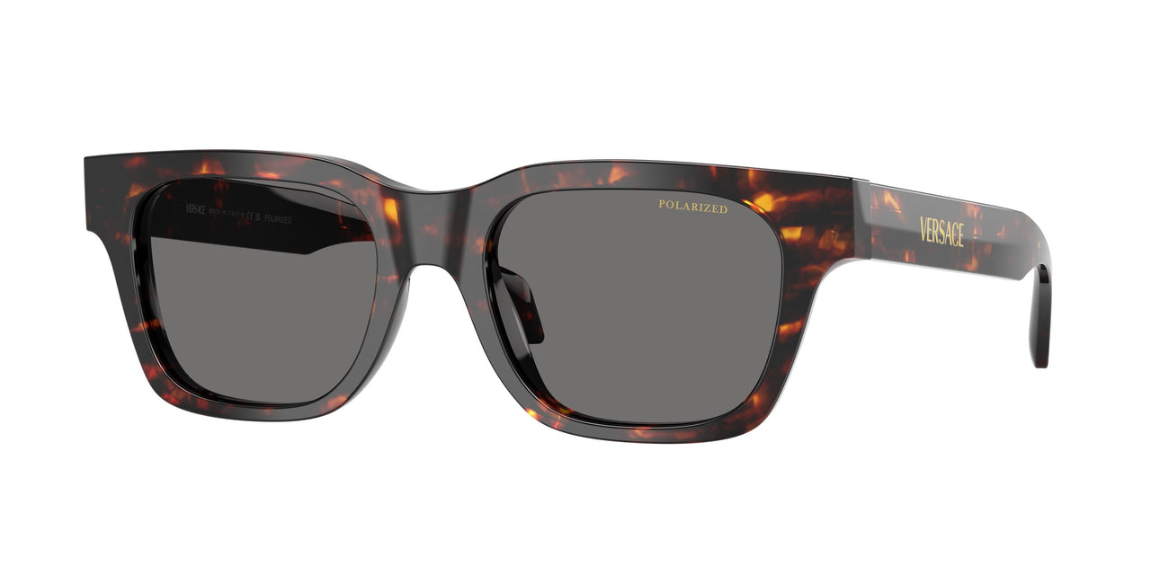Versace 4486 Sunglasses
