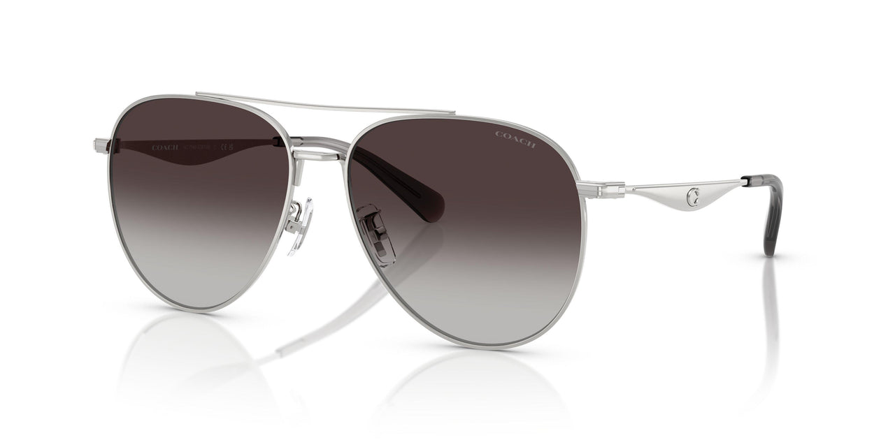 90013C - Silver - Grey Gradient