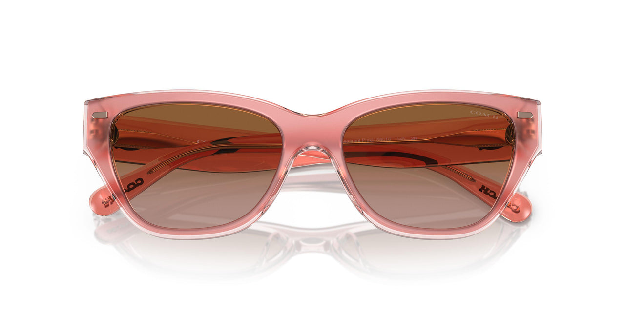 574313 - Pink - Brown Gradient