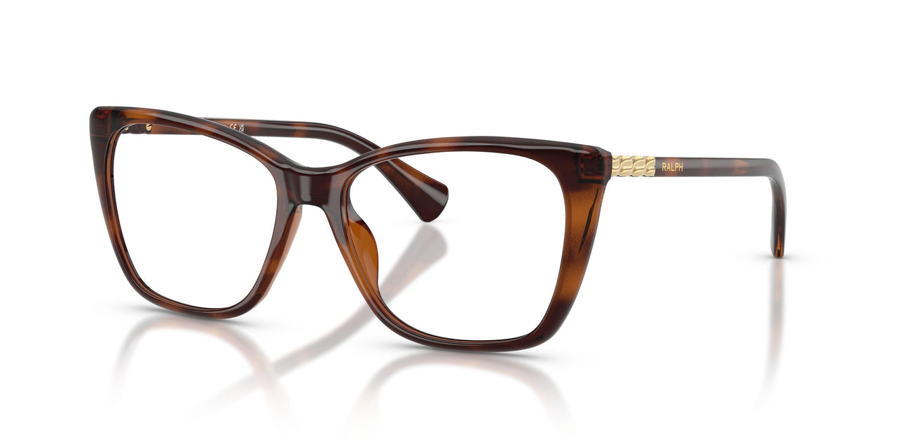 6149 - Tortoise