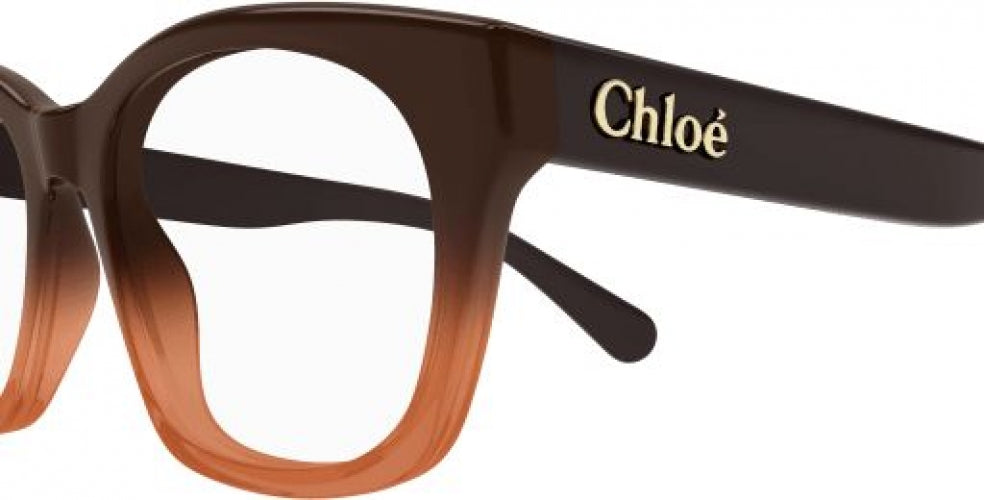 004 - Brown - Transparent