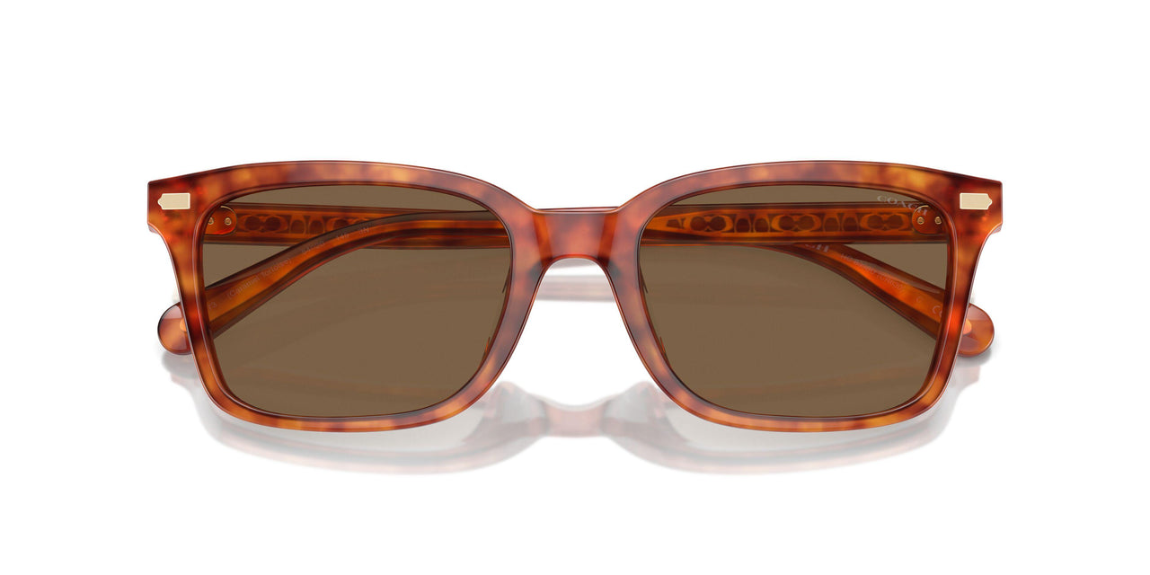 577473 - Tortoise - Brown Solid