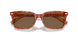 577473 - Tortoise - Brown Solid