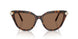 100273 - Tortoise - Dark Brown
