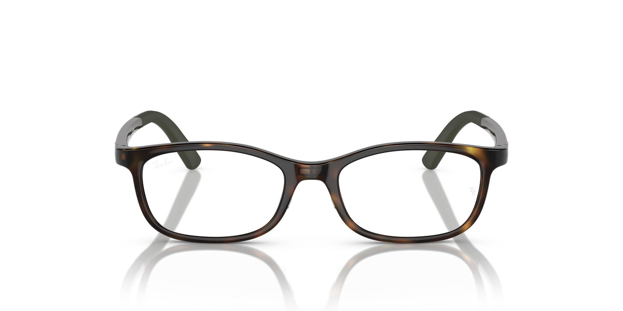 3863 - Tortoise