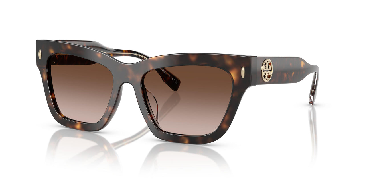 172813 - Tortoise - Brown Gradient
