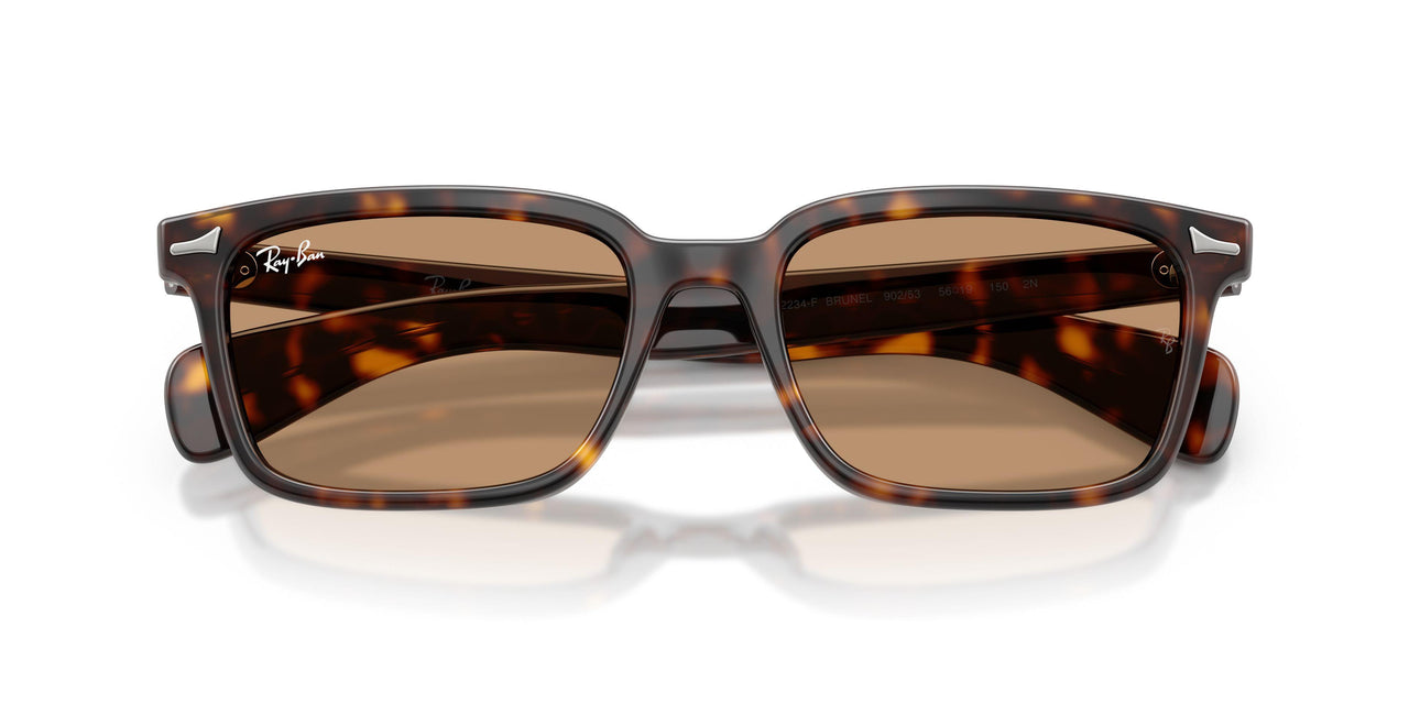 902/53 - Tortoise - Brown