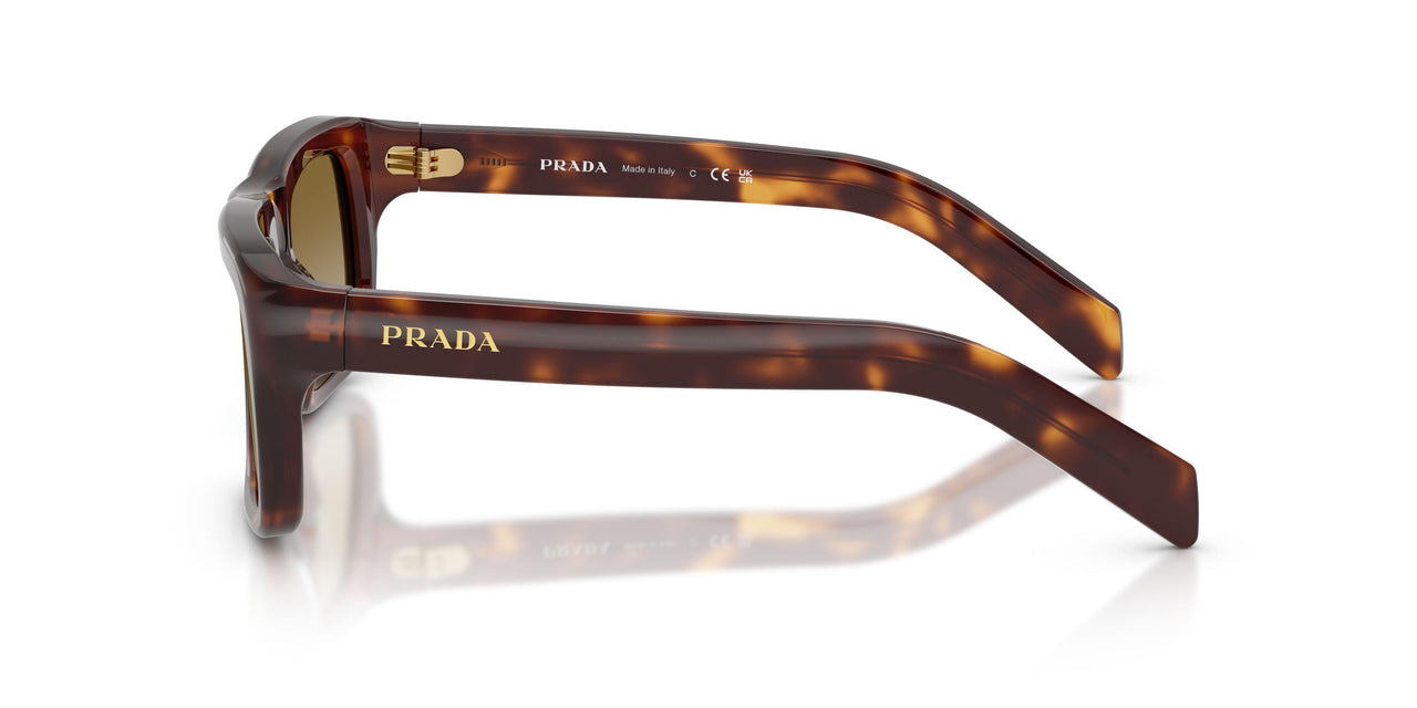 15W20U - Tortoise - Brown Gradient