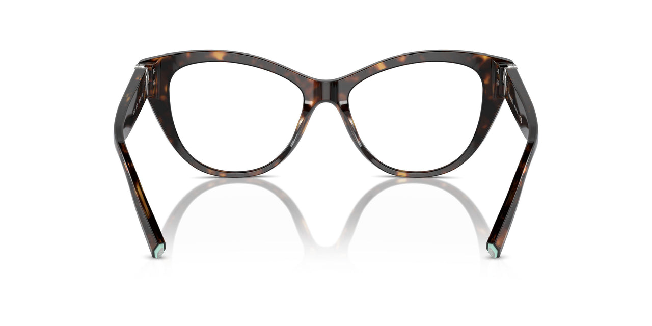 8015 - Tortoise