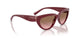 304814 - Red - Pink Gradient Brown
