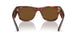 954/57 - Havana - Brown Polar
