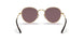 001/AF - Gold - Dark Violet Polar