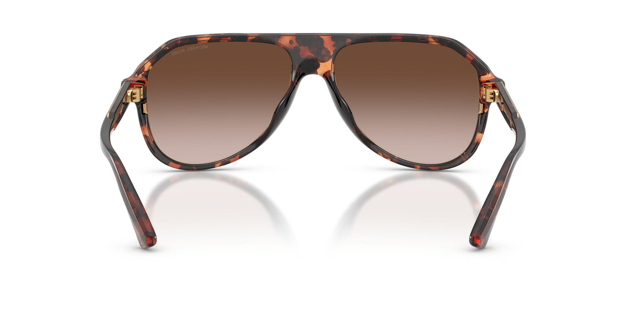 300613 - Tortoise - Smoke Gradient