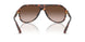 300613 - Tortoise - Smoke Gradient