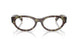 8459 - Brown - Clear