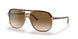 129251 - Havana - Clear Gradient Brown