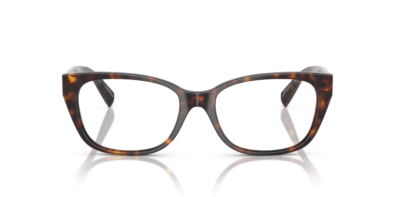 8015 - Tortoise