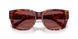 202375 - Tortoise - Dark Violet/red