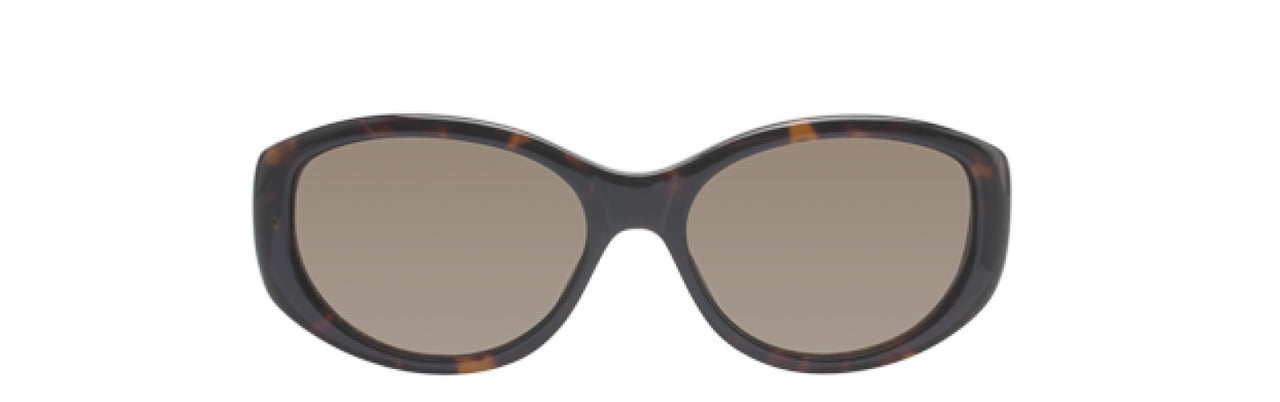 55B - Tortoise